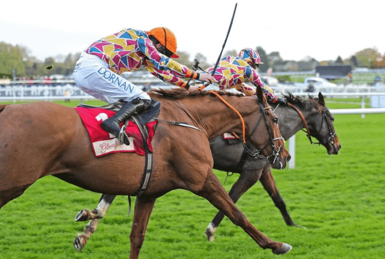 Horse Racing: The Thrills of Watching a Close Race