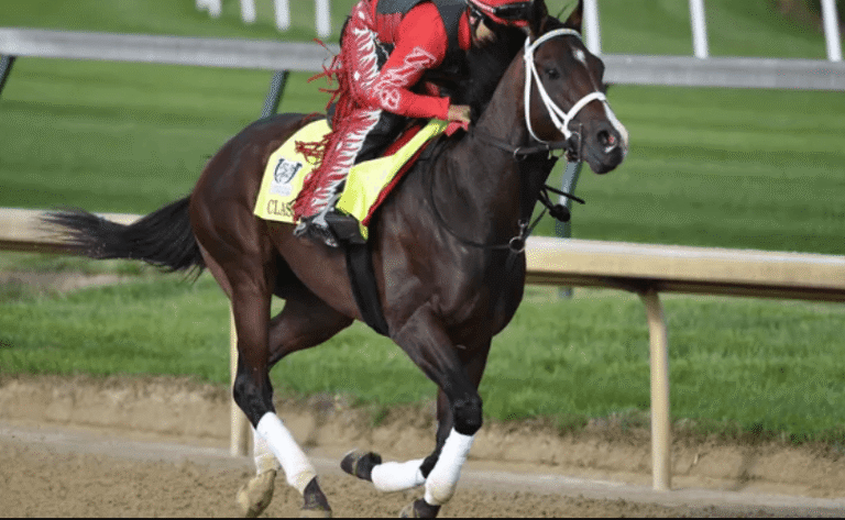 Horse Racing: The Thrills of Watching Live Races