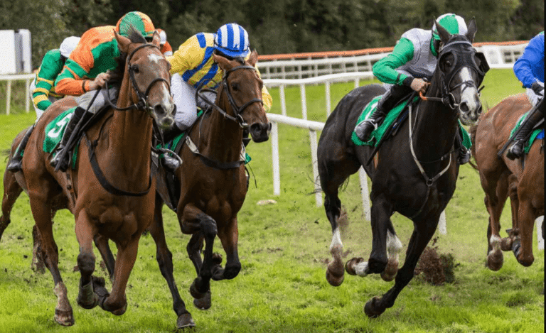 Horse Racing: The Ultimate Guide to Different Race Types