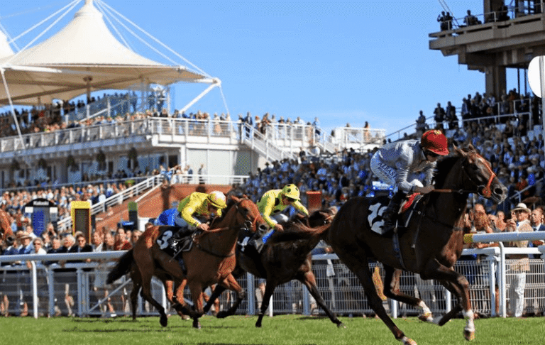 Horse Racing: Tips for First-Time Spectators